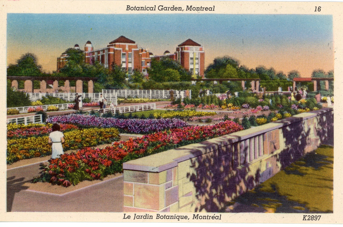 Carte postale du Jardin Botanique
