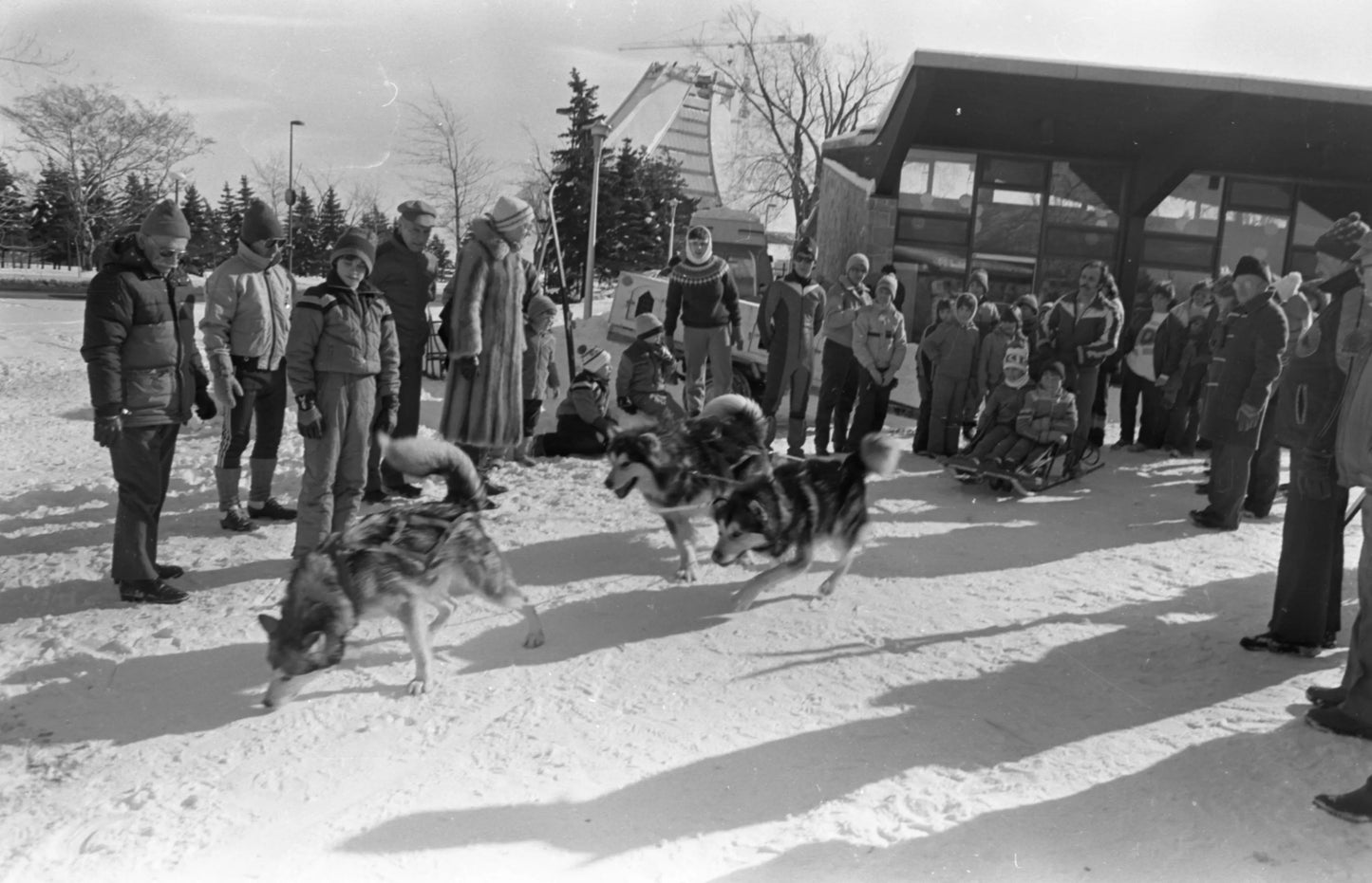 Festival des neiges