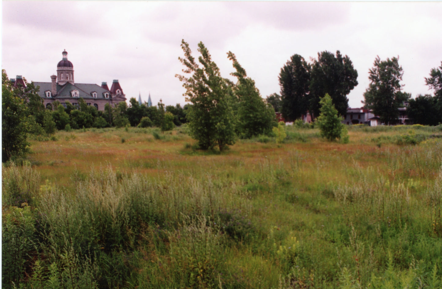 Terrain convoité pour un parc à chiens derrière le Marché Maisonneuve