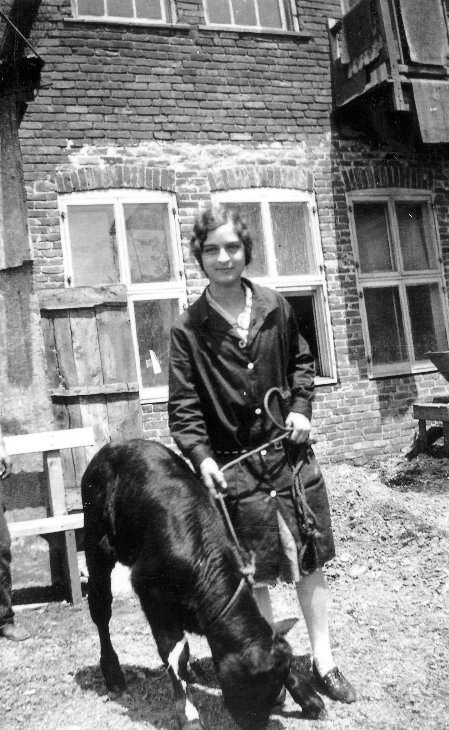 Lucienne St-Jean et son veau