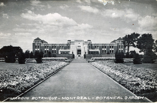 Carte postale du Jardin Botanique