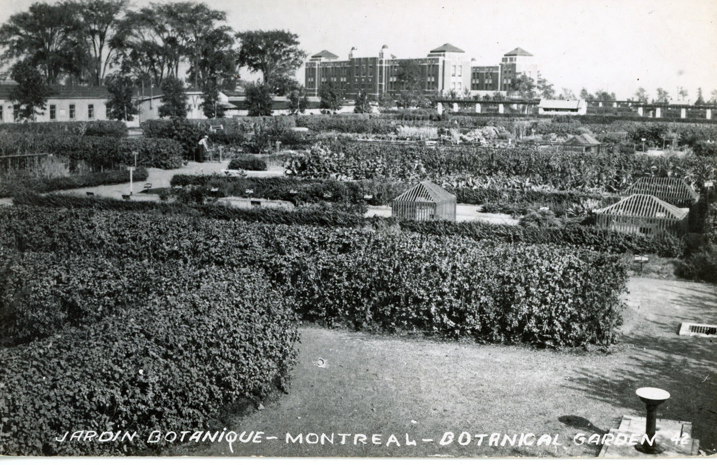 Carte postale du Jardin Botanique