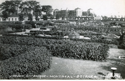 Carte postale du Jardin Botanique
