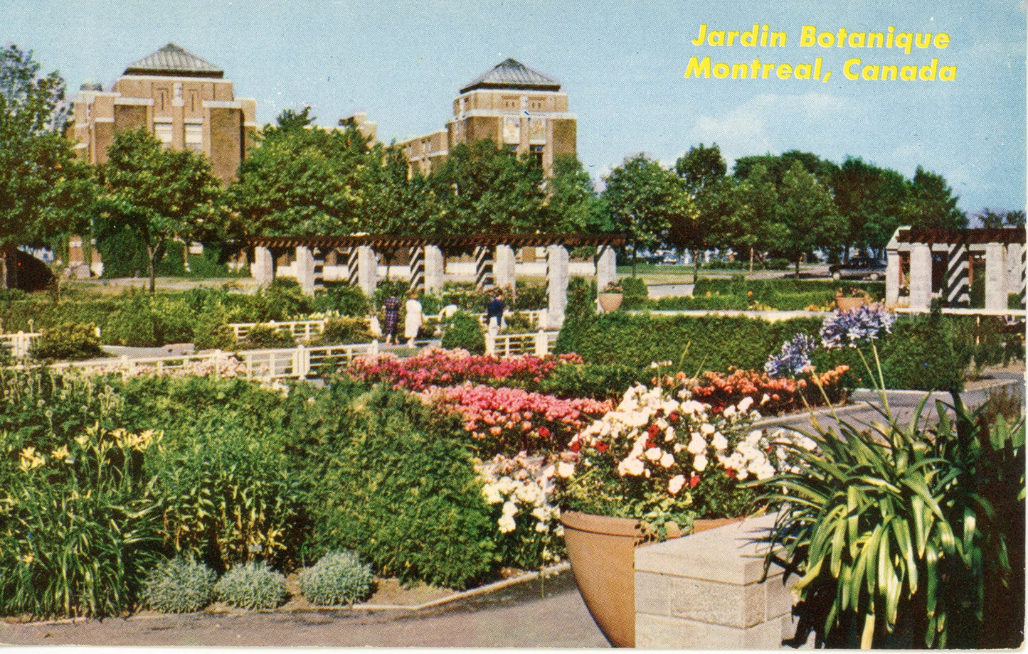 Carte postale du Jardin Botanique