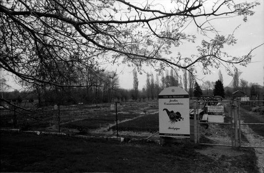 Jardin communautaire Rosemont