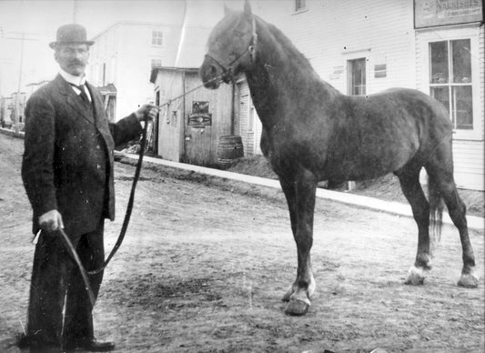 Homme et cheval