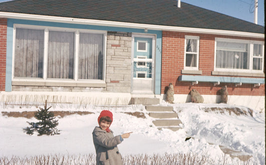 Bungalow du village Champlain