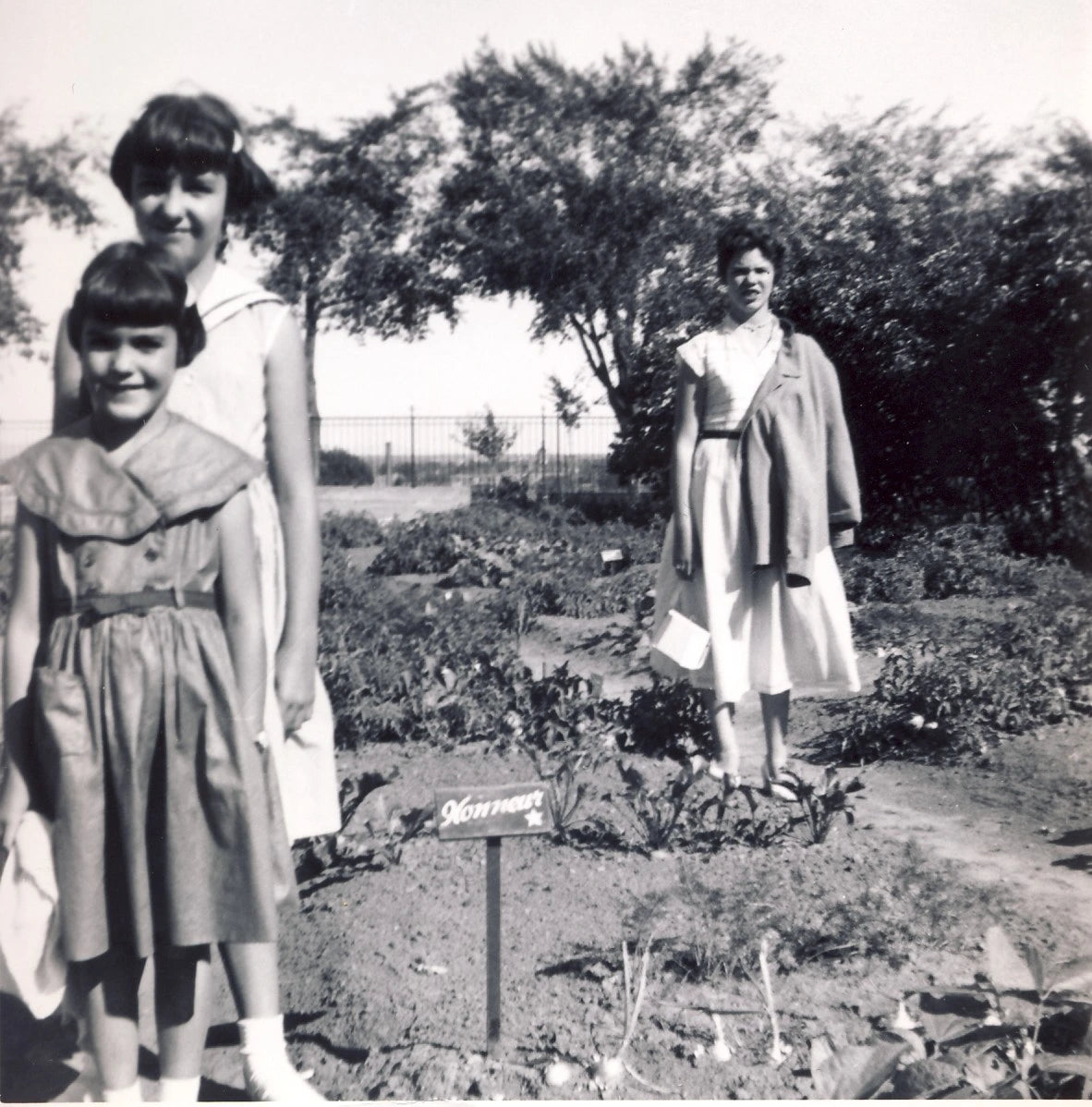 Jardin des écoliers à l'école de l'éveil du Jardin Botanique