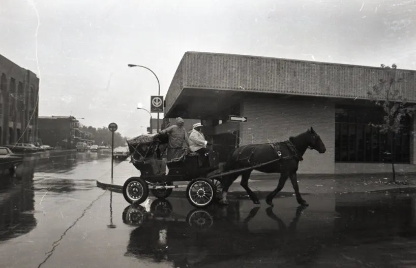 Calèche en ville