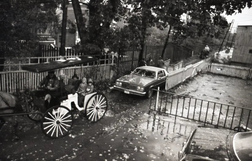 Cueillette en calèche pour encan