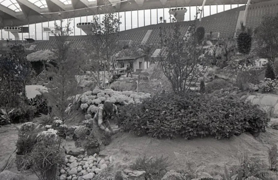 Floralies 1980