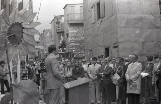 Opération Tournesol