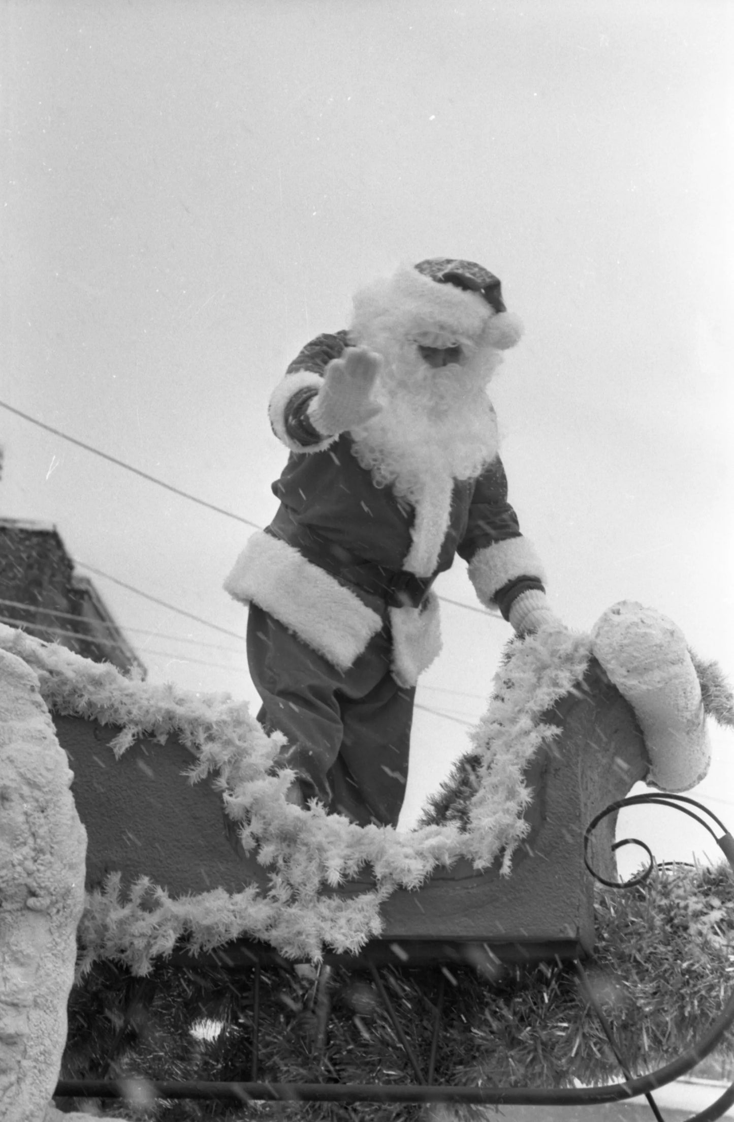 Parade du Père Noël dans la Petite Italie