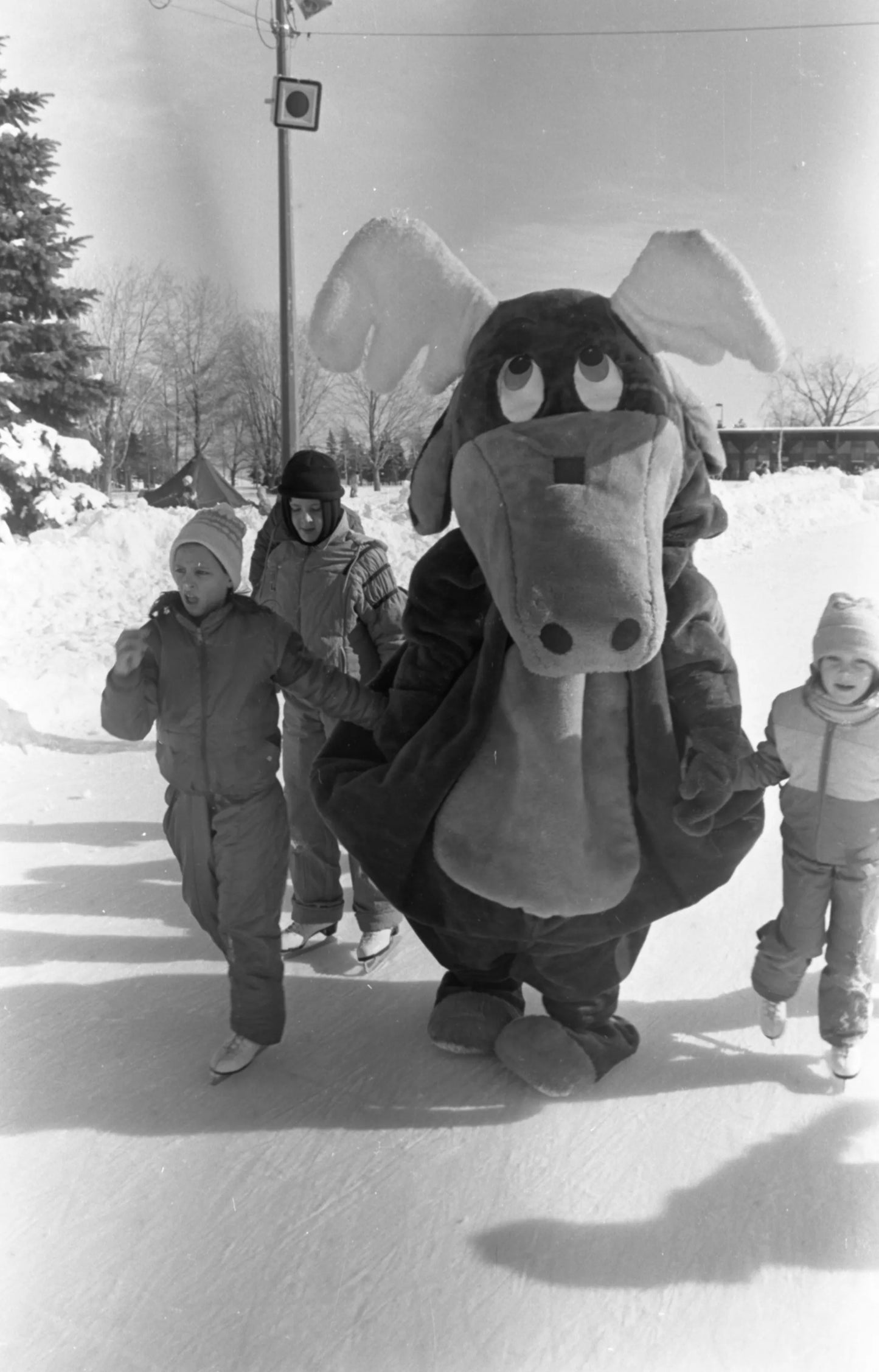 Festival des neiges