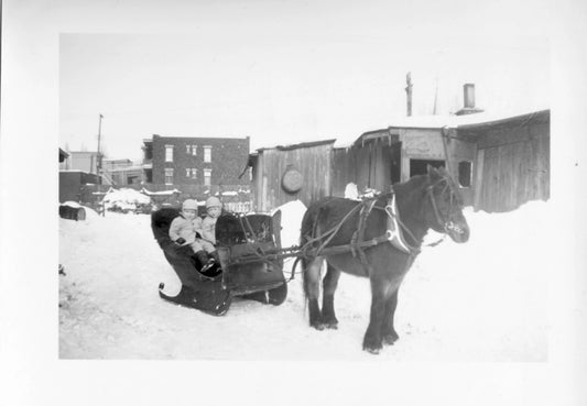 Enfants dans un traîneau