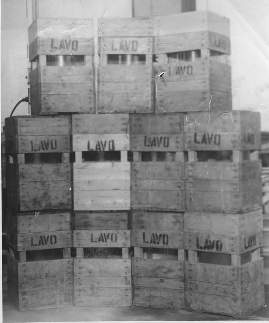 Caisses d'eau de javel Lavo