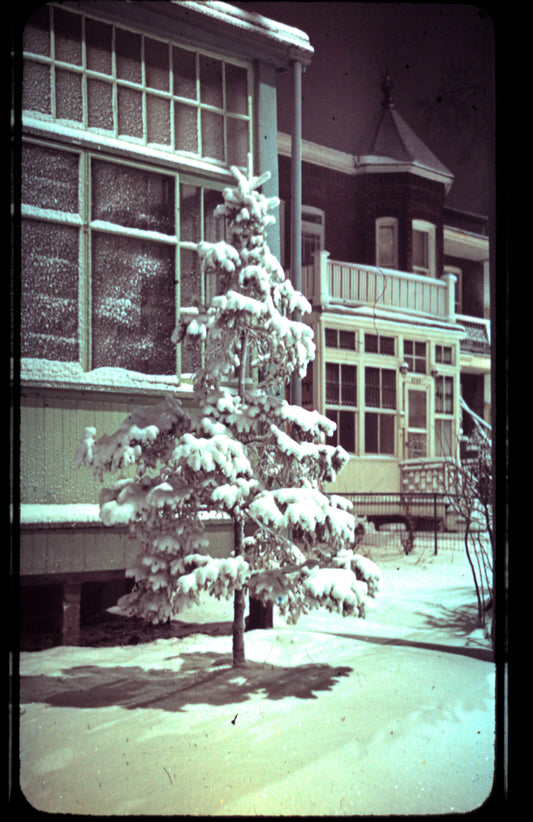8783 rue Bellerive