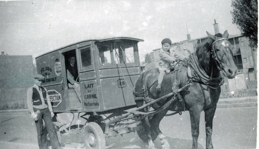 Bambin sur un cheval