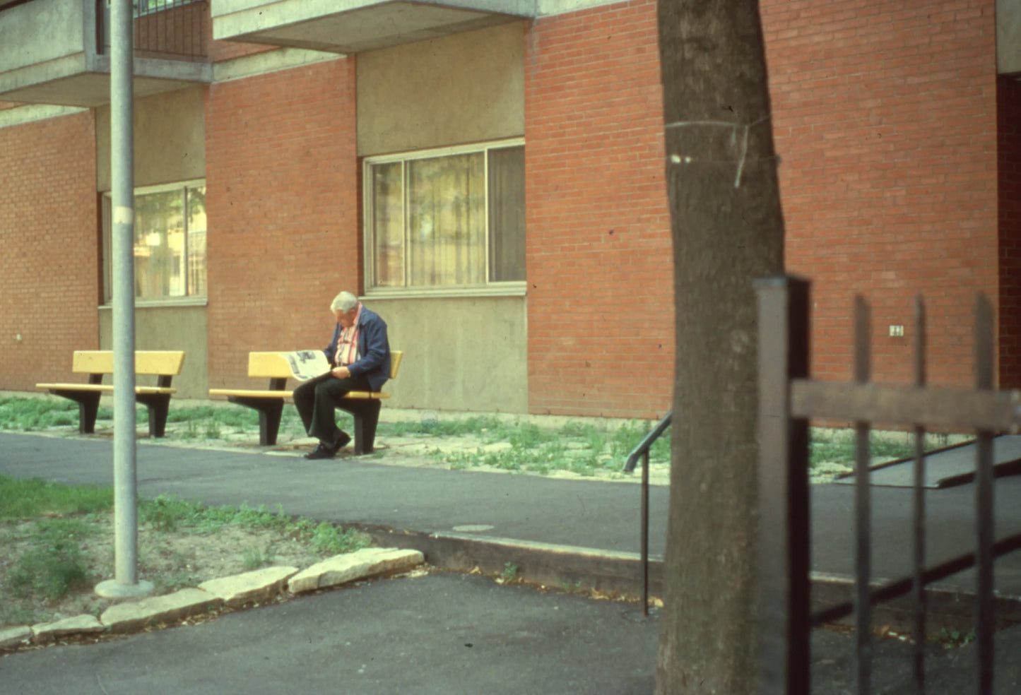 Homme sur un banc