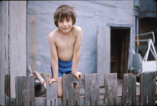Enfant sur une clôture