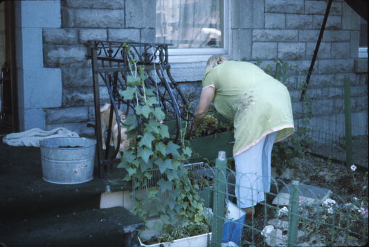Femme faisant son parterre
