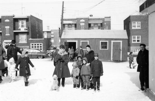 Activité hivernale